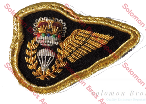 R.A.A.F Badge, Free Fall Instructor, Miniature Half Wing - Solomon Brothers Apparel